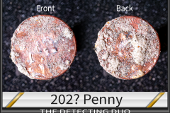 Penny 202x