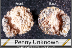 Penny UnKnown 10