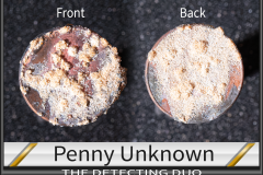 Penny UnKnown 5