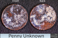 Penny Unknown 4