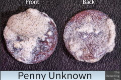 Penny Unknown 5