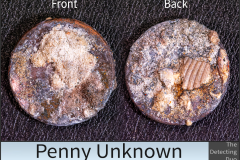 Penny Unknown 6