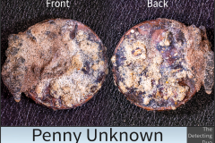 Penny Unknown 7