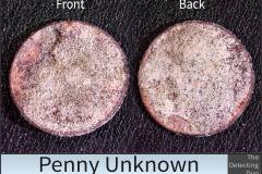 Penny Unknown 8