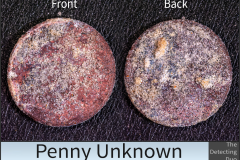 Penny Unknown 9
