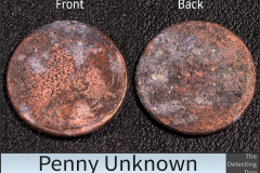Penny Unknown 2_