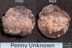 Penny Unknown