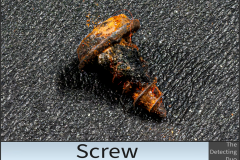 Screw 2