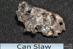 Can Slaw