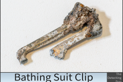 Bathing Suit Clip