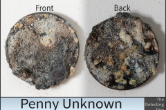 Penny Unknown 4