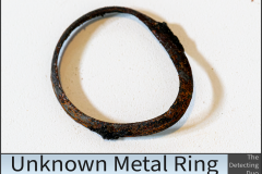 Unknown MetalRing