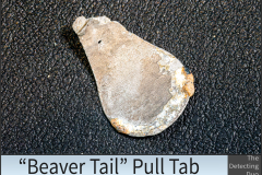 Beaver Tail