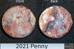 Penny 2021