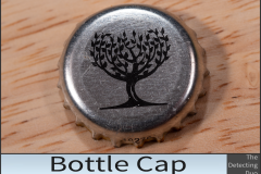 Button Cap 2