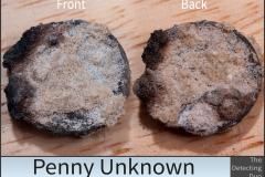 Penny Unknown 2