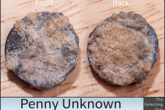 Penny Unknown 4