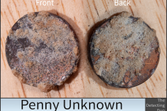 Penny Unknown 5