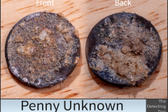 Penny Unknown 6