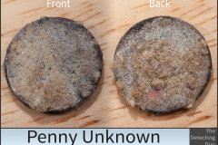 Penny Unknown 7