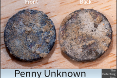 Penny Unknown 8