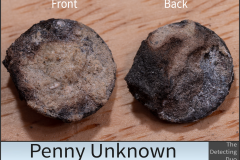 Penny Unknown 9
