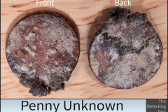 Penny Unknown