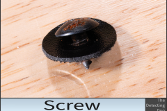 Screw