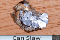 Can Slaw 3 Can Slaw 3