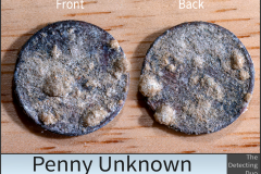 Penny Unknown 3 Penny Unknown 3