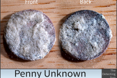 Penny Unknown 7 Penny Unknown 7