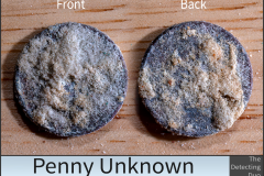 Penny Unknown 9 Penny Unknown 9