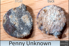 Penny Unknown 4
