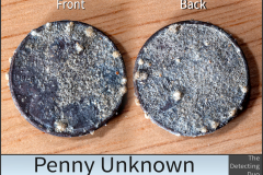 Penny Unknown