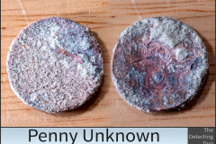 Penny Unknown 3