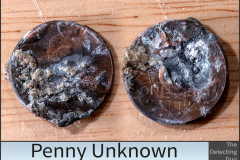 Penny Unknown 5
