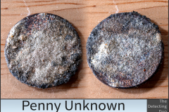 Penny Unknown 6