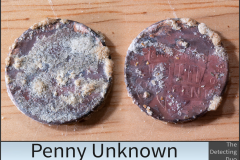 Penny Unknown 8
