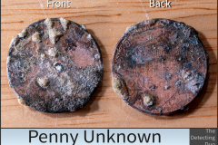 Penny Unknown