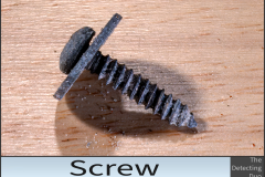 Screw