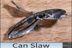 Can Slaw