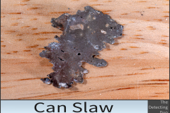 Can Slaw 6