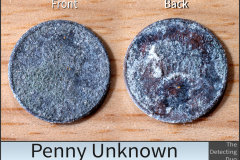 Penny Unknown