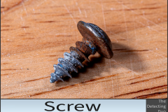 Screw