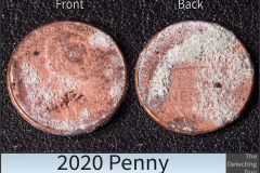 Penny 2020