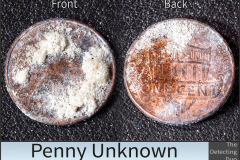 Penny Unknown