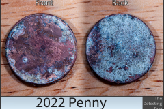 Penny 2022