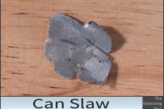 Can Slaw 2