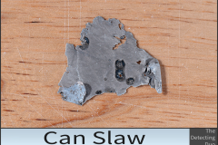 Can Slaw