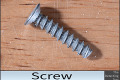 Screw